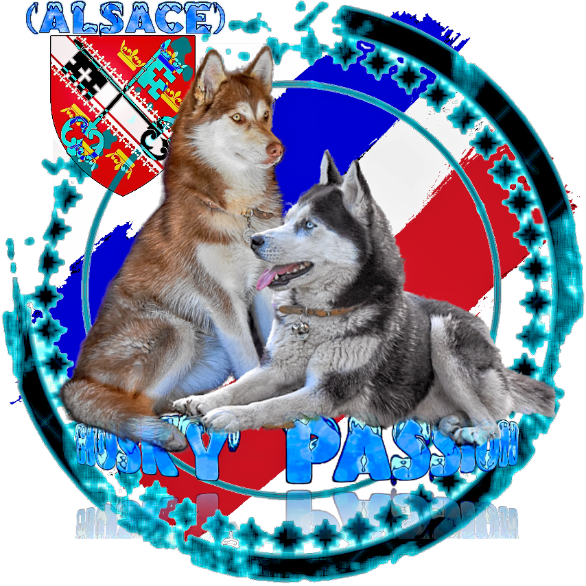 of Bright Star Syrius